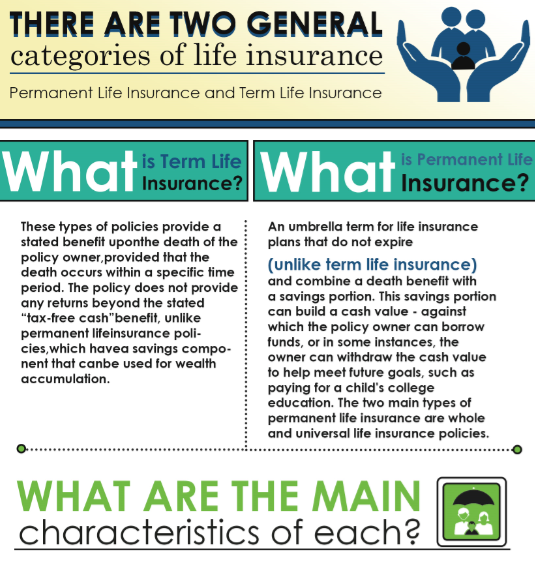 Life Insurance: Term vs. Permanent